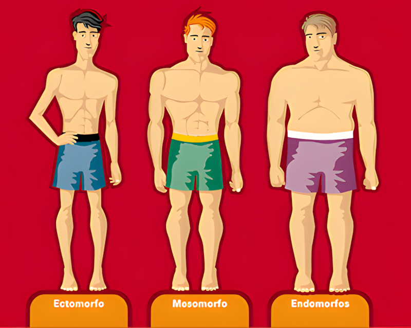 los 3 somatotipos de cuerpo