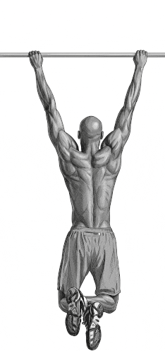 rango recorrido dominadas